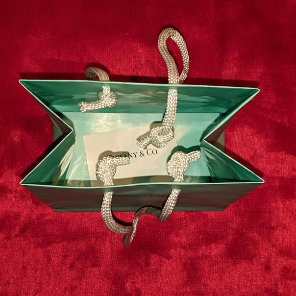 Tiffany & Co. Gift Bag #2💥PRICE DROP💥 - Picture 3 of 3